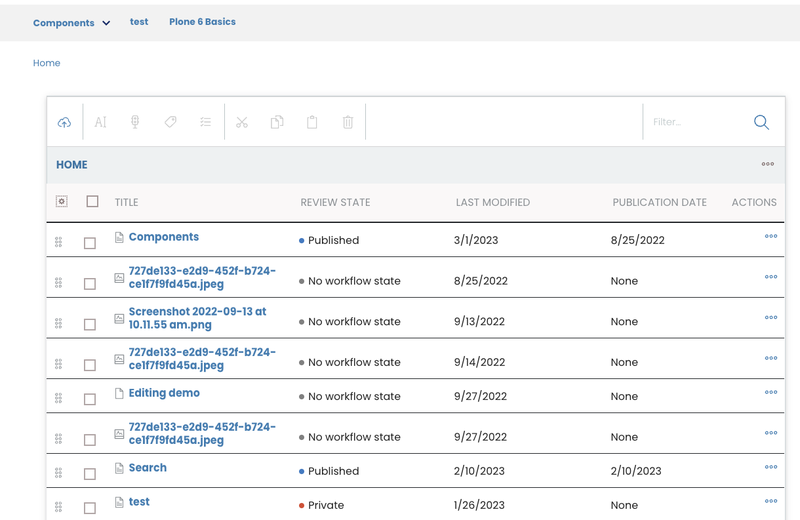 The Contents tool listing pages with their review state, last-modified and publication dates.